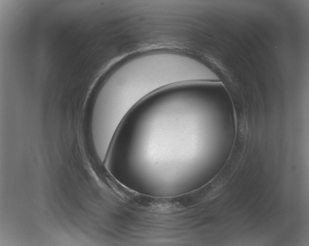 X0000081310540200701111005