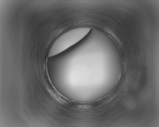 X0000081310541200701111005