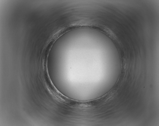 X0000081310542200701111005