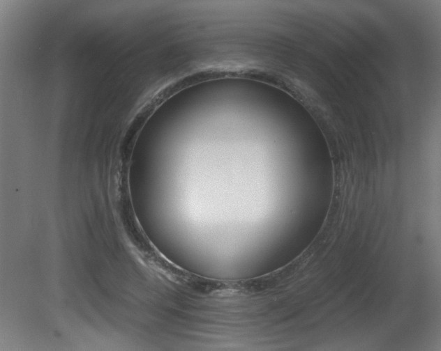 X0000081310544200701111005