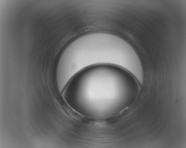 X0000081310548200701111005
