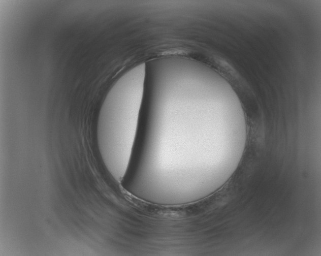 X0000081310549200701111005
