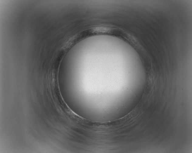 X0000081310551200701111005
