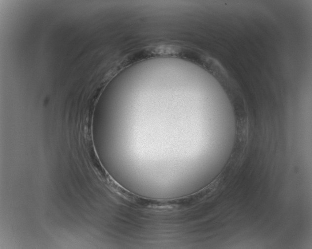X0000081310553200701111005