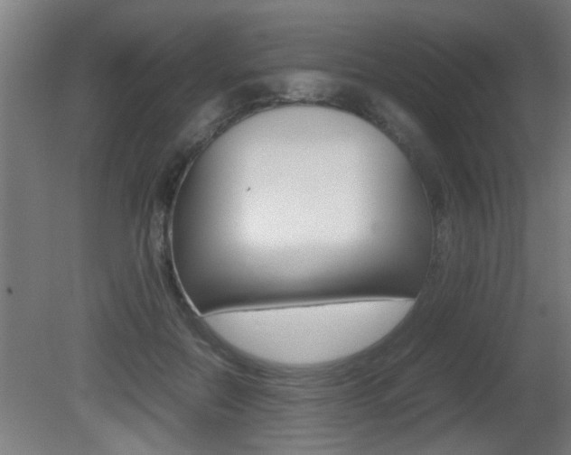 X0000081310554200701111005