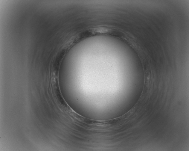 X0000081310555200701111005