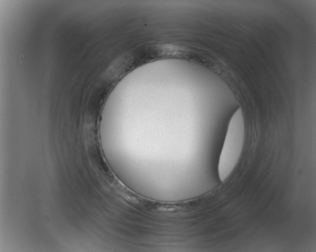X0000081310557200701111005
