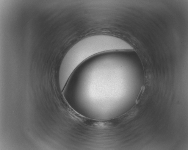 X0000081310558200701111005
