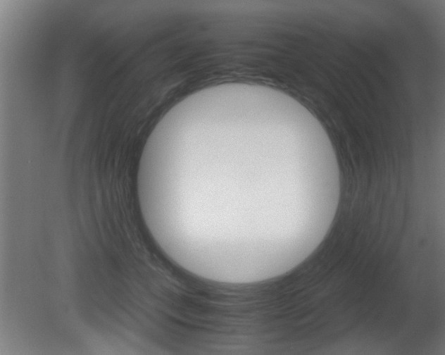 X0000081310559200701111005