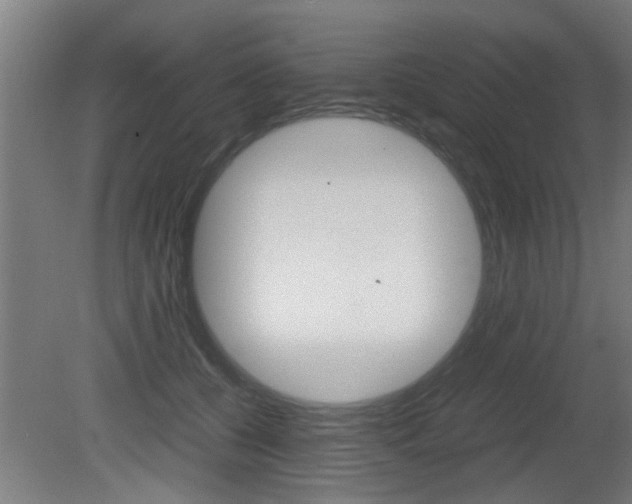 X0000081310560200701111005