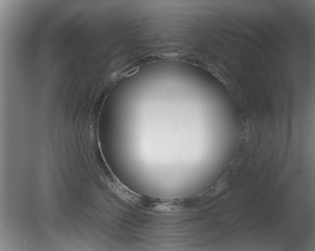 X0000081310568200701111005