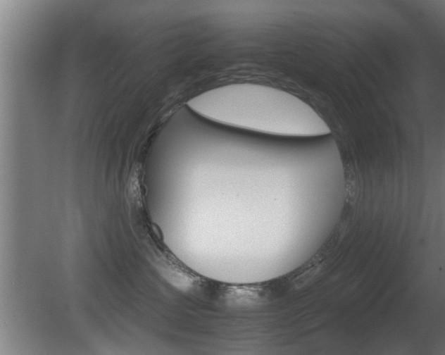 X0000081310573200701111005