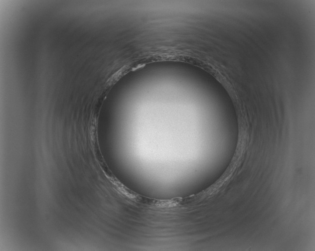 X0000081310576200701111005