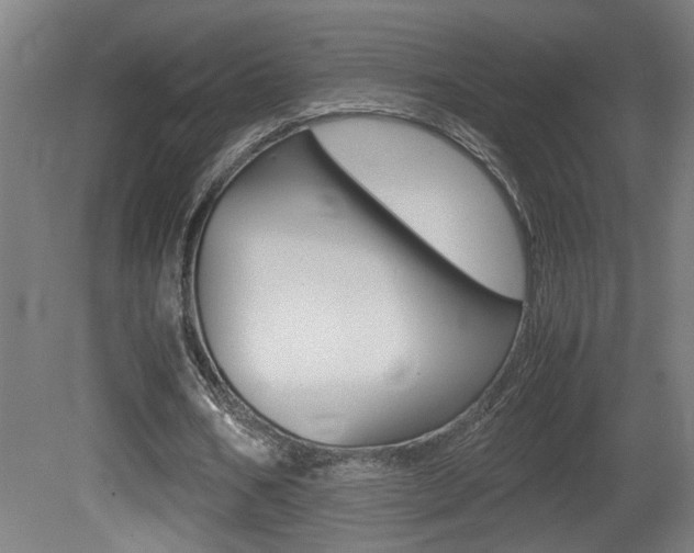 X0000081310578200701111005
