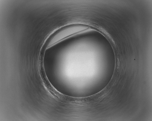 X0000081310580200701111005
