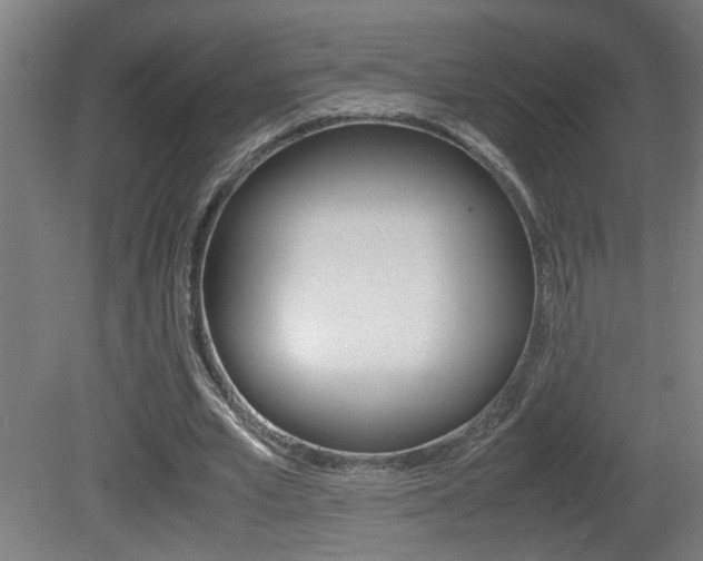 X0000081310581200701111005