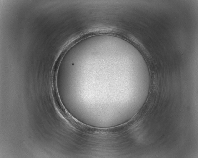 X0000081310582200701111005