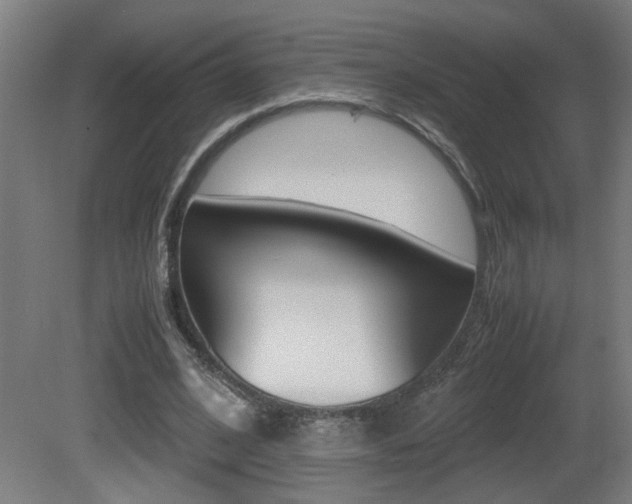 X0000081310584200701111005