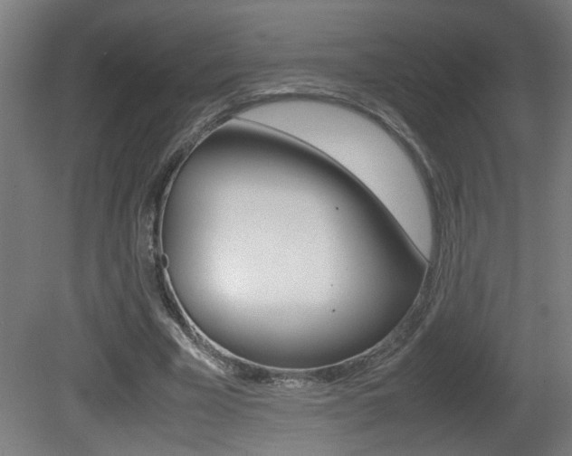X0000081310585200701111005