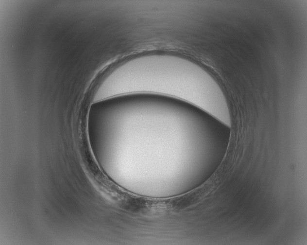 X0000081310587200701111004