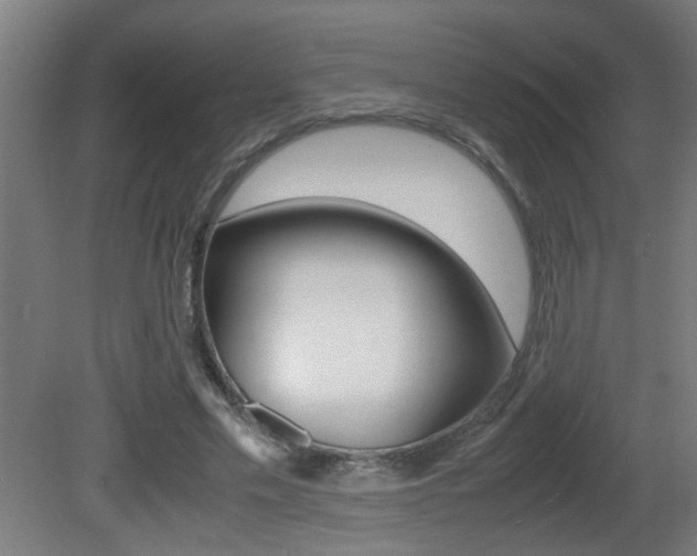 X0000081310589200701111004