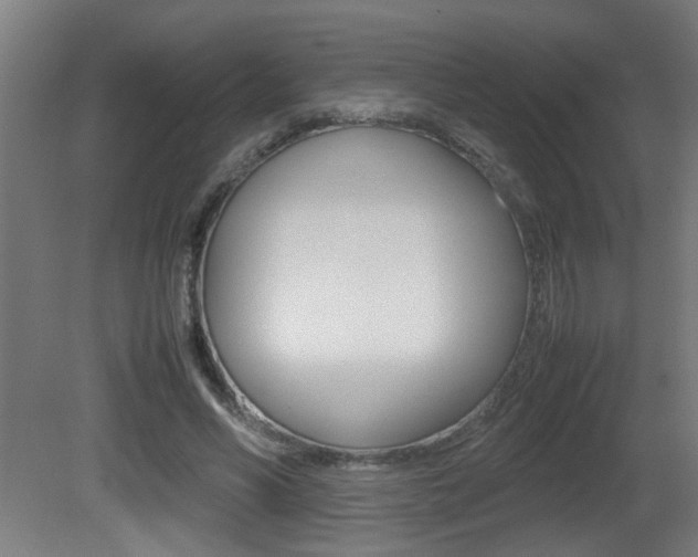 X0000081310590200701111004