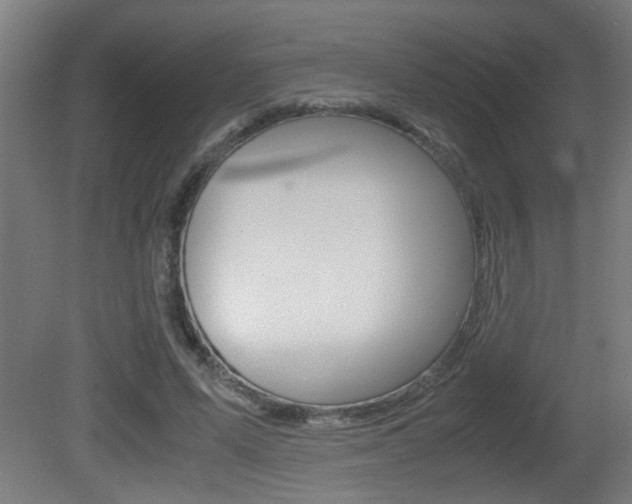 X0000081310591200701111004