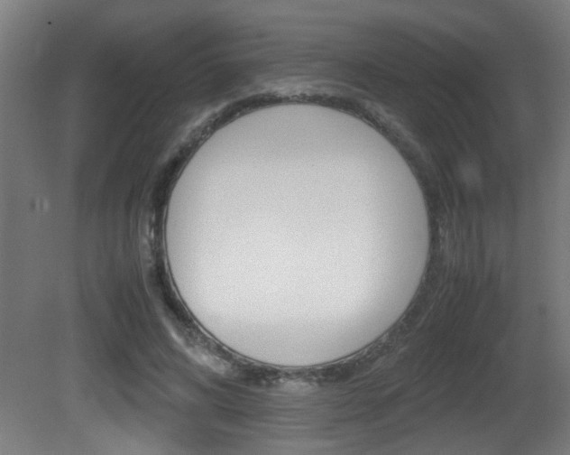 X0000081310592200701111004