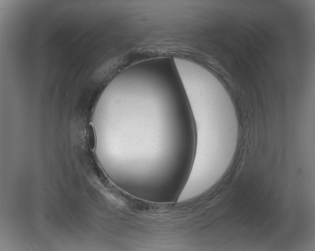 X0000081310593200701111004