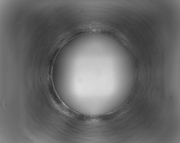 X0000081310594200701111004