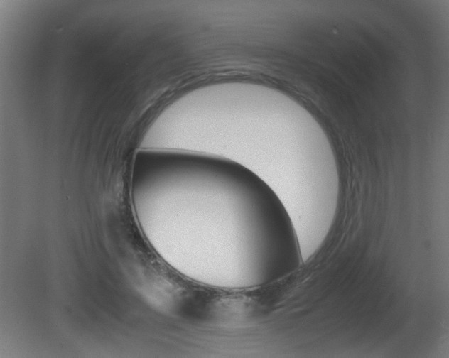 X0000081310595200701111004