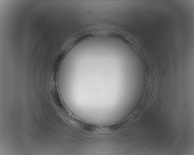 X0000081310599200701111004