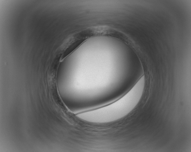 X0000081310601200701111004