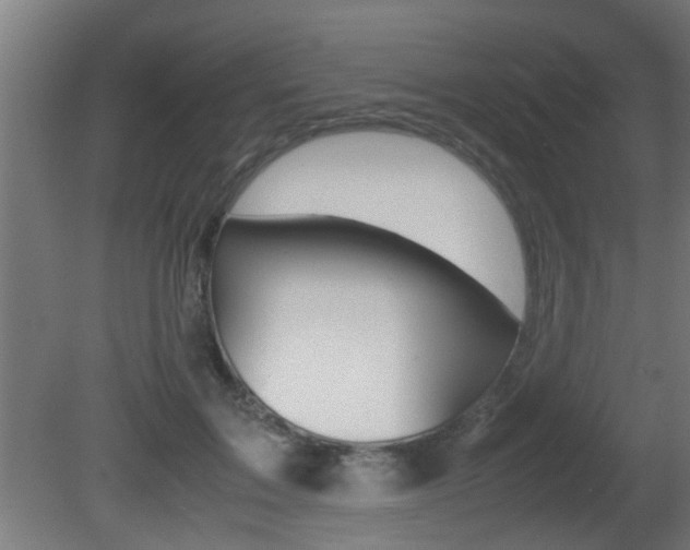 X0000081310603200701111004