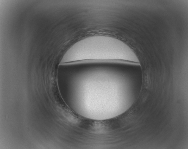 X0000081310608200701111004