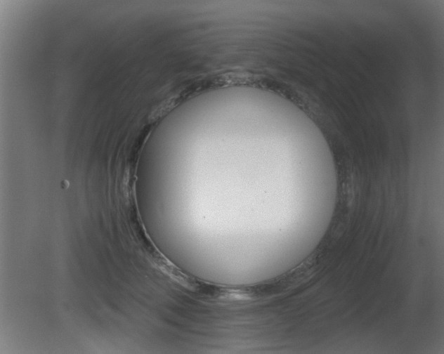 X0000081310610200701111004