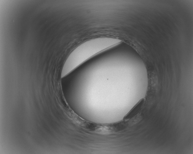 X0000081310611200701111004