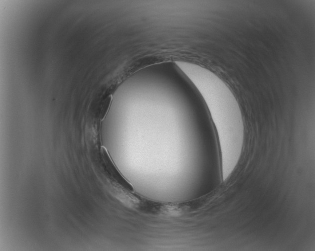 X0000081310613200701111004