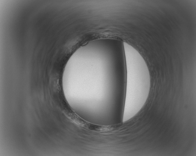 X0000081310615200701111004