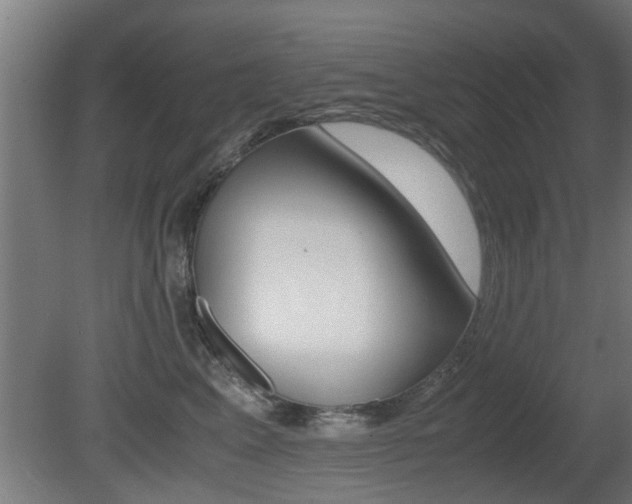 X0000081310617200701111004