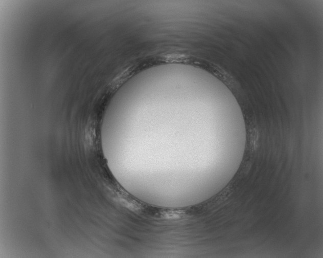 X0000081310618200701111004