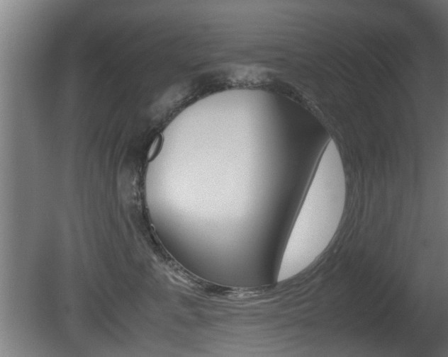X0000081310619200701111004