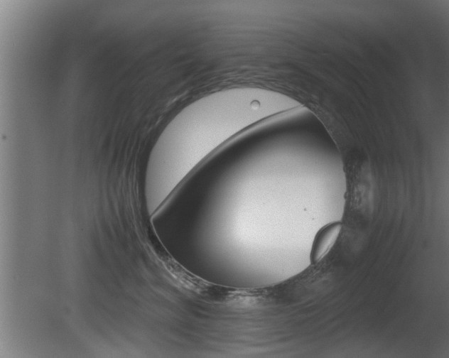 X0000081310620200701111004
