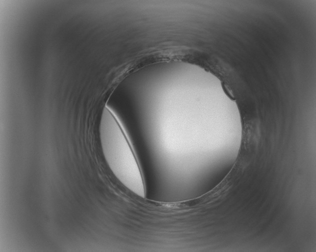 X0000081310623200701111004