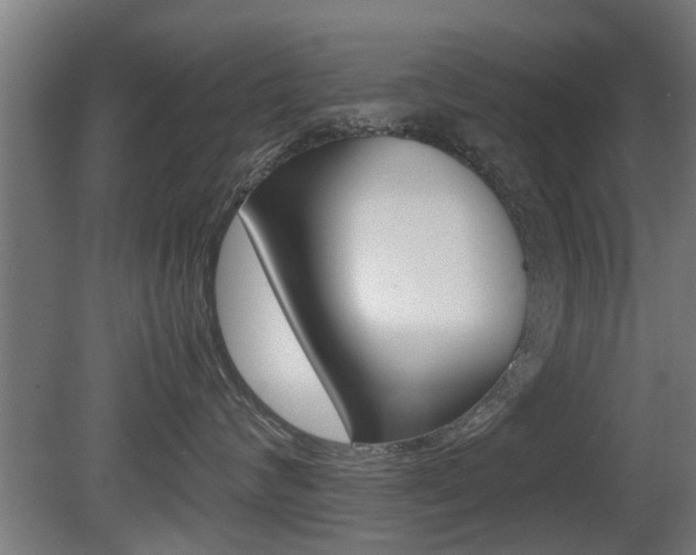 X0000081310624200701111004