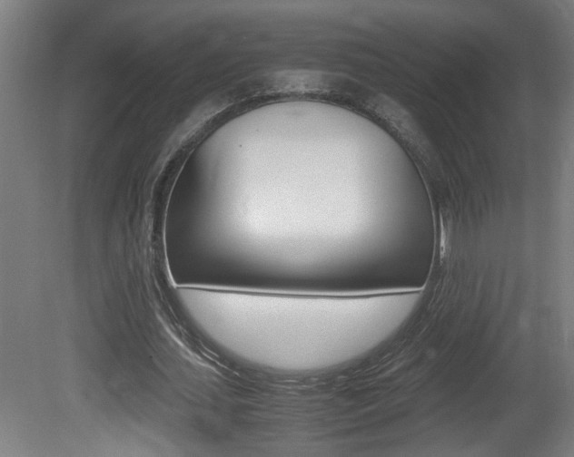 X0000081310627200701111003