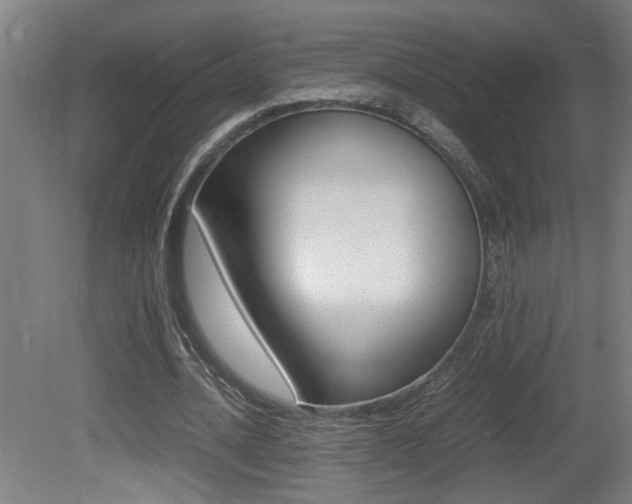 X0000081310628200701111003