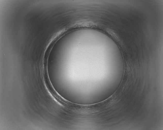 X0000081310630200701111003