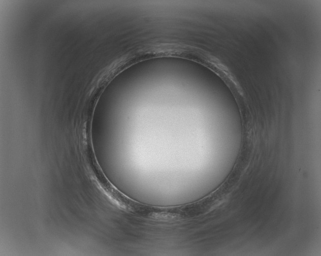 X0000081310633200701111003