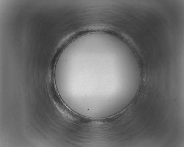 X0000081310636200701111003